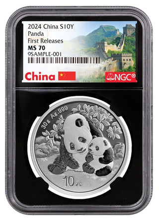 2024 China Panda Silver 30g 999 Coin NGC MS70 10Y Certified Blackcore - JP649