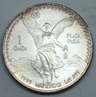 44499229