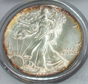 1987 American Eagle 1 oz Silver Dollar PCGS MS68 Toning Toned - C486