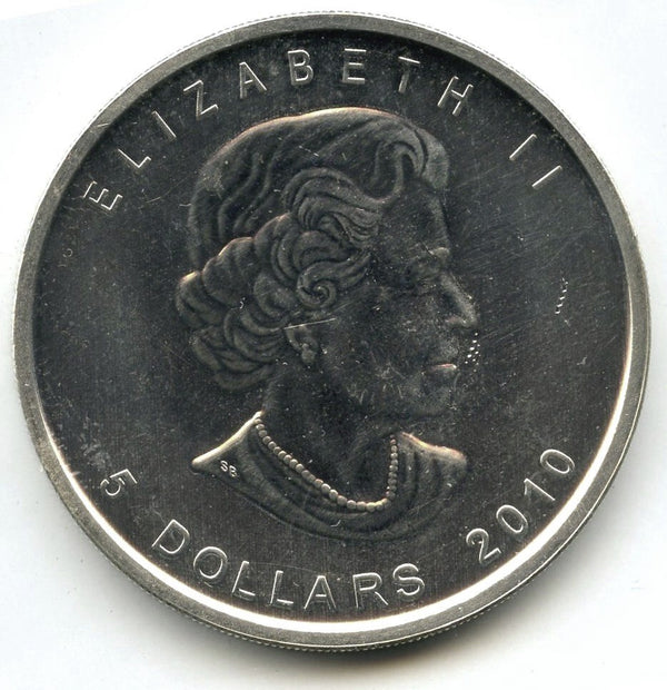 45013338