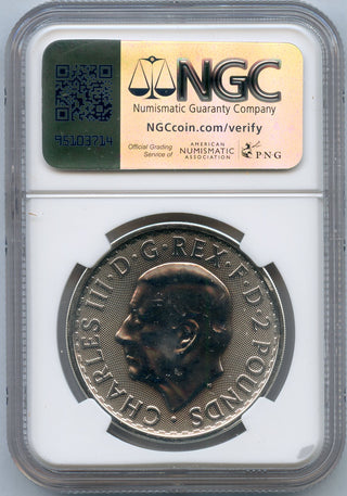45205038