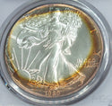 1989 American Eagle 1 oz Silver Dollar PCGS MS68 Toning Toned - C491