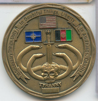 1st Battalion 178th Infantry Tyranny Challenge Coin Token - SS436