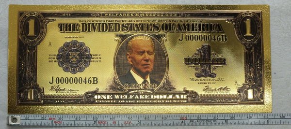 Sleepy Joe Biden Divided States $1 Note Novelty 24K Gold Foil Plated Bill GFN76