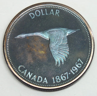 44669181