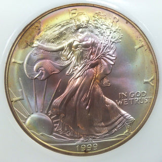 1999 American Eagle 1 oz Silver Dollar - Toning Toned - Bullion Coin - J361