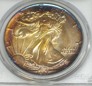 45006884