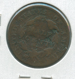 43880544