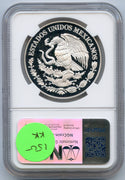 44613576