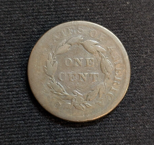 44375556