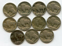 1913 Type 1 Buffalo Nickels - Lot of 11 Coins  - JN349