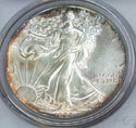 1987 American Eagle 1 oz Silver Dollar PCGS MS69 Toning Toned - C488