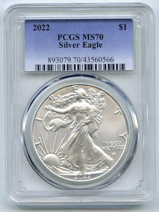 45006754