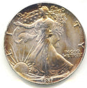 1987 American Eagle 1 oz Fine Silver Dollar - Toned Bullion Coin - DM591