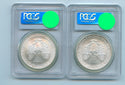 1986 - 2005 American Silver Eagle 1 oz 20-Coin Set PCGS MS69 Toning - SR478