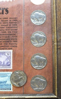 Trailblazers Coin & Stamp Buffalo Nickel Set Collection + Frame - A222