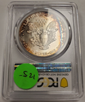 1987 American Silver Eagle 1 Oz PCGS UNC Details Toned Toning $1 Coin -  JN614