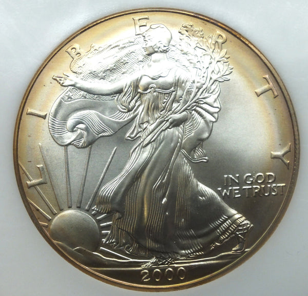 2000 American Eagle 1 oz Fine Silver Dollar - Toning Toned - A489