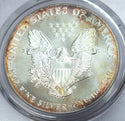 1987 American Eagle 1 oz Silver Dollar PCGS MS67 Toning Toned - C484
