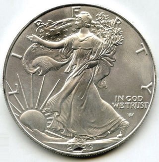 2023 American Eagle 1 oz Silver Dollar - Strike-Through Error Coin - E913