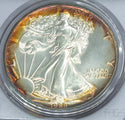 1989 American Eagle 1 oz Silver Dollar PCGS MS67 Toning Toned - C489