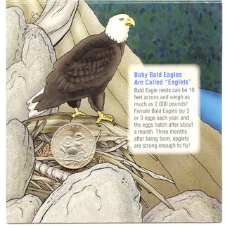 2008 Bald Eagle Commemorative Clad Half Dollar Coin Young Collector's Set -DM807