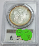 1989 American Eagle 1 oz Silver Dollar PCGS MS69 Toning Toned - C492