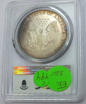 1996 American Eagle 1 oz Silver Dollar PCGS MS67 Toning Toned - C494