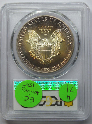 1990 American Eagle 1 oz Silver Dollar PCGS MS67 Toning Toned - H71
